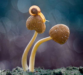 攻击网站服务器